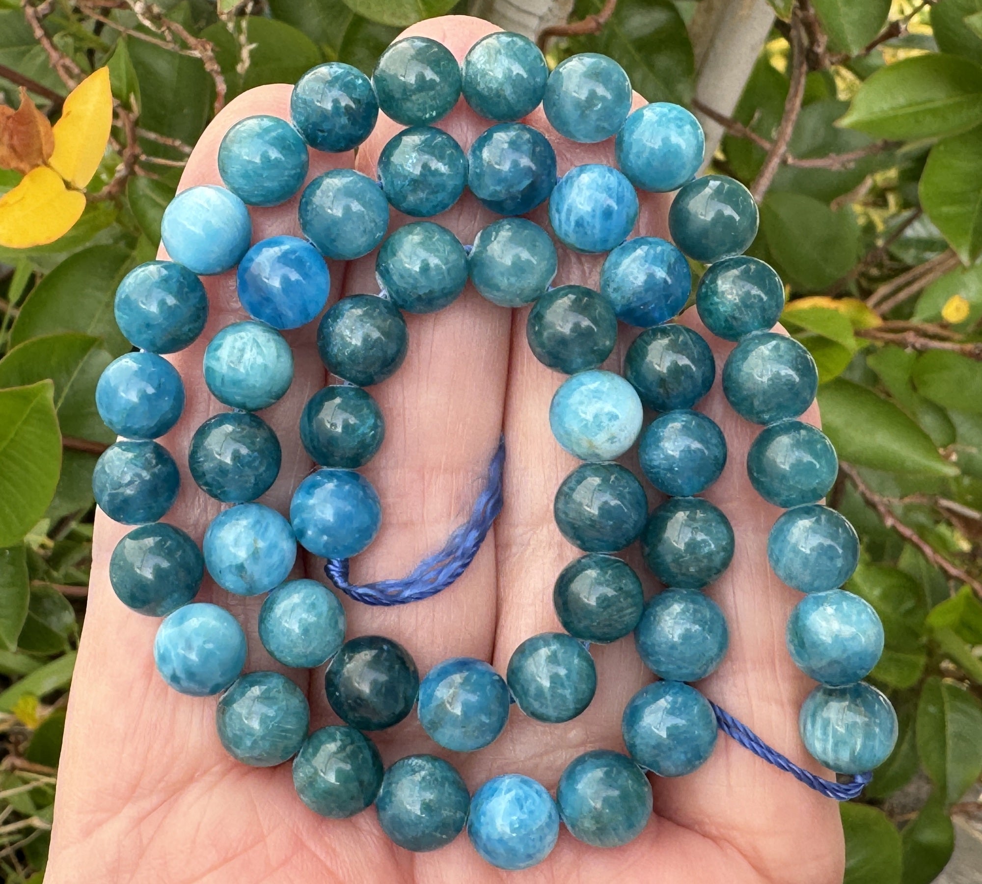 Apatite 8mm round natural gemstone beads 15" strand