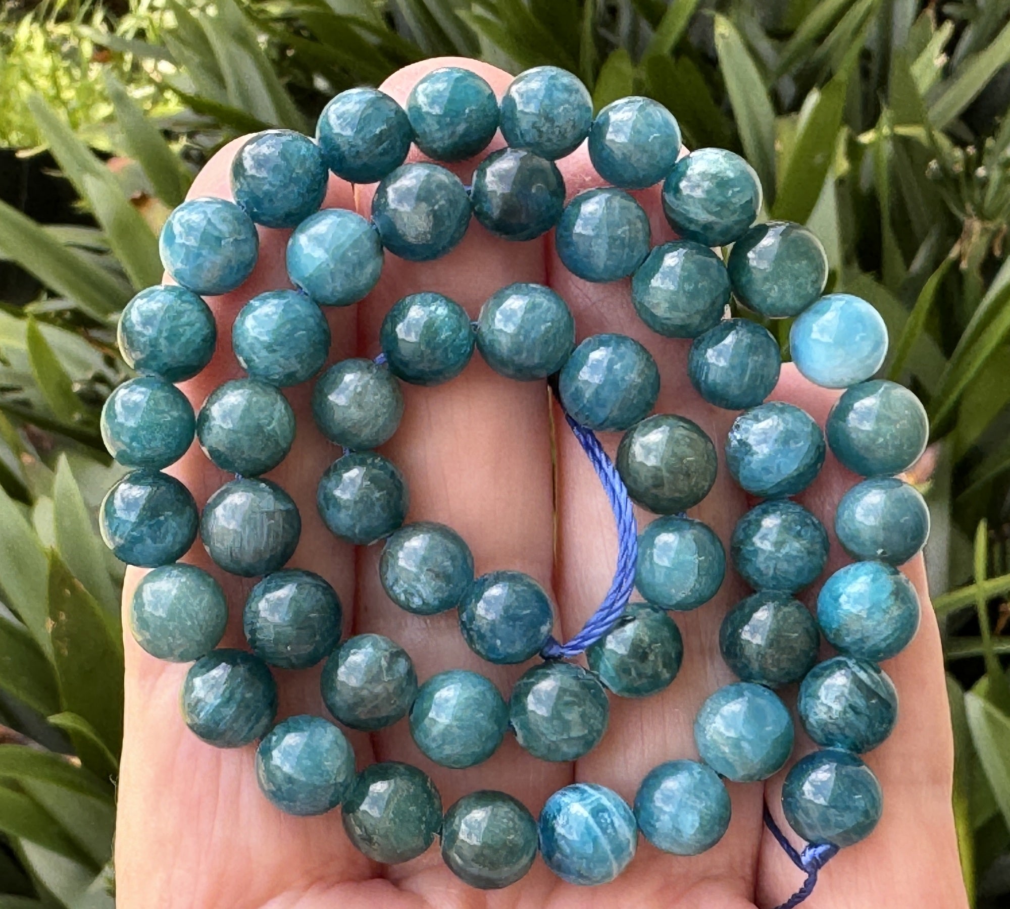 Apatite 8mm round natural gemstone beads 15" strand