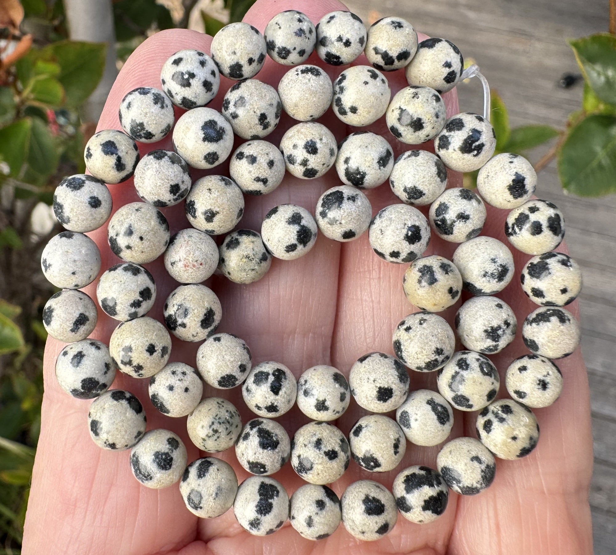 Dalmatian Jasper 6mm round natural gemstone beads 15" strand